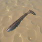 3.8" Ribbed X-Shad