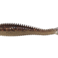 3.8" Ribbed X-Shad