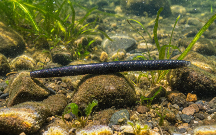 5" X-Worm